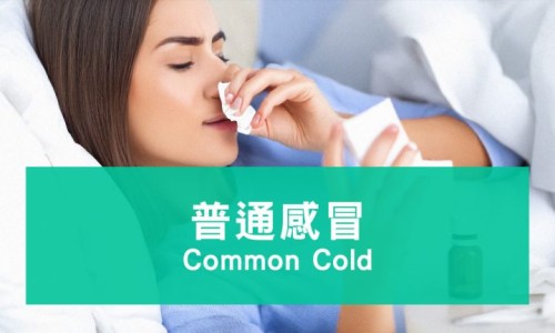 治疗幽门杆菌期间能吃面包吗女性-治疗幽门杆菌期间能吃面包吗网 - 为你提供治疗幽门杆菌期间能吃面包吗女性、幽门治疗期间能吃面食吗